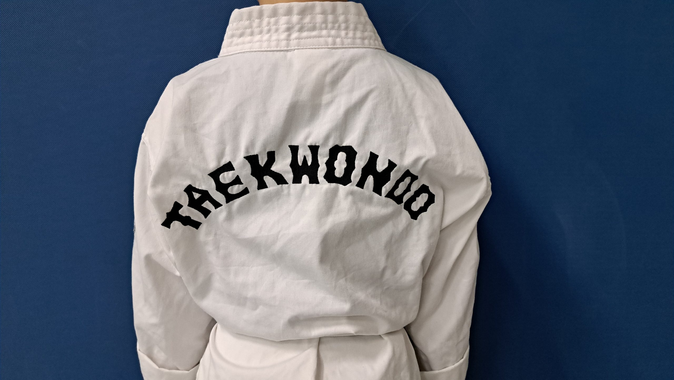Taekwondo Mantel von hinten